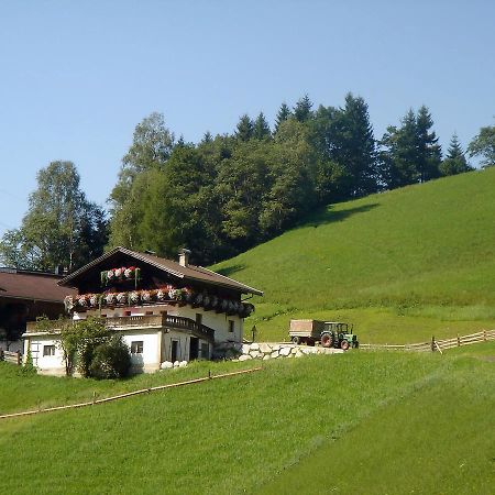 Almliesl Mitt-581 Mittersill Exterior foto